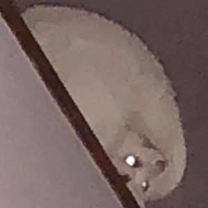 Meet your Posher, Mary jo